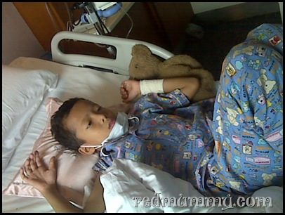 IMG16810 IMG16810