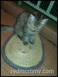 IMG17392 IMG17392