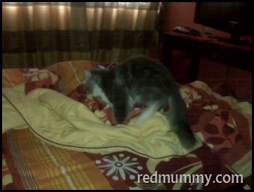 IMG17443 IMG17443