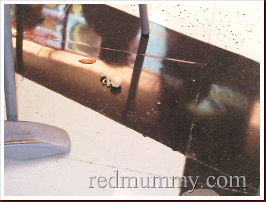 IMG01218-20100721-1257