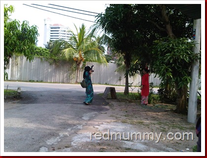 IMG02652-20100912-1634