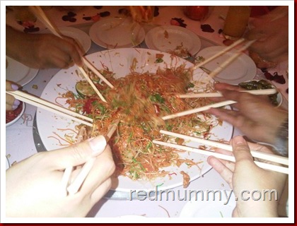 IMG04519-20110216-2022
