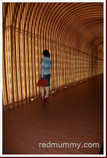 IMG_8448 IMG_8448